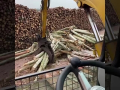 Wykopacz Grapple Bucket Hydraulic Wood Grapple 360 Log Grab And Stone Excavator Rotating Grapple