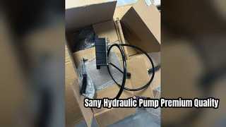 Hydrauliczna pompa z silnikiem wentylatora Sany 60248398 Wysokiej jakości części